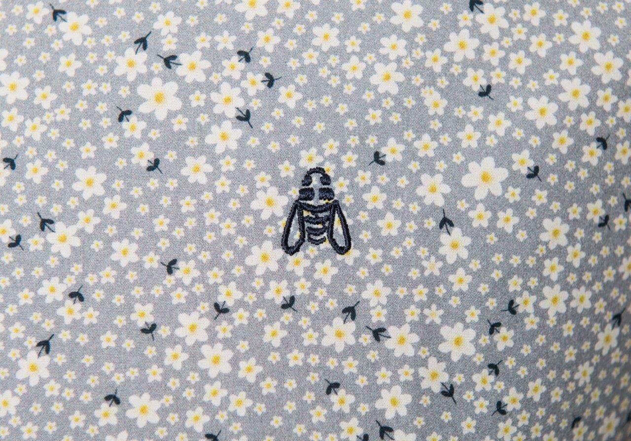 Segalis 3 Segalis – Image 3