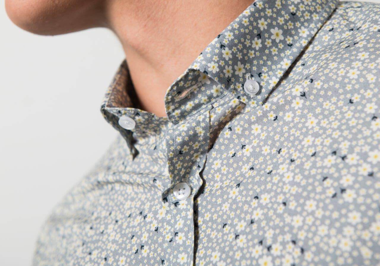 Segalis 2 Segalis – Image 2